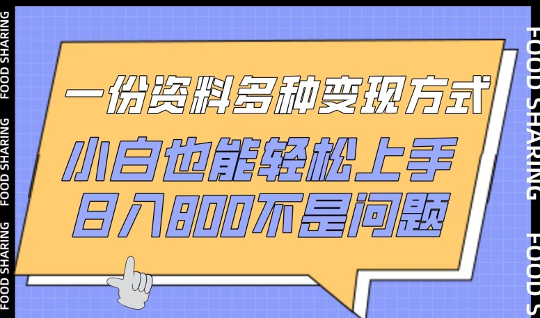 一份资料多种变现方式，小白也能轻松上手，日入800不是问题-中创项目网