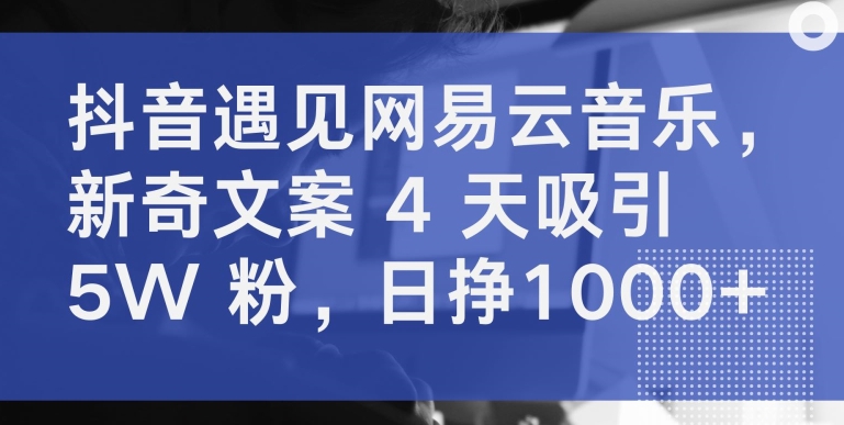 抖音遇见网易云音乐，新奇文案 4 天吸引 5W 粉，日挣1000+-中创项目网