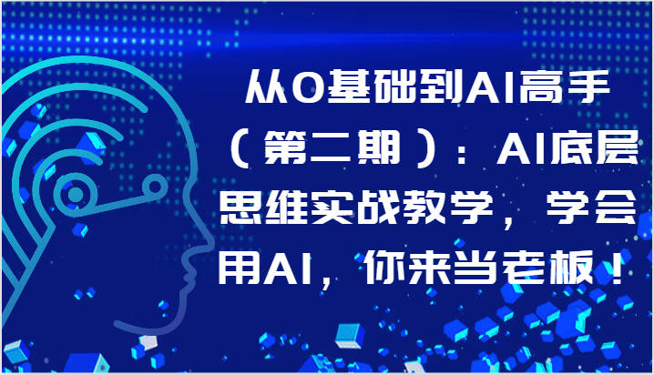 从0基础到AI高手（第二期）：AI底层思维实战教学，学会用AI，你来当老板！-中创项目网