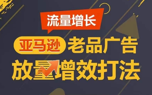 流量增长 亚马逊老品广告放量增效打法，短期内广告销量翻倍-中创项目网