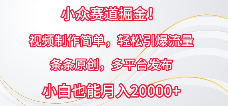 小众赛道掘金，视频制作简单，轻松引爆流量，条条原创，多平台发布-中创项目网