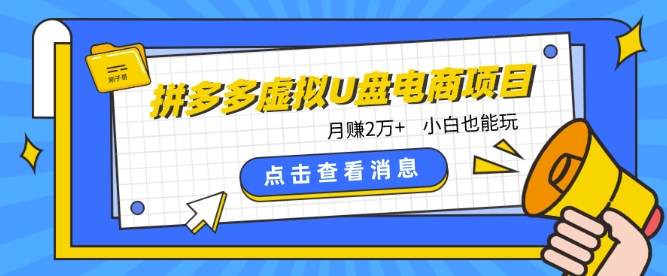 拼多多虚拟U盘电商红利项目：月赚2万+，新手小白也能玩-中创项目网
