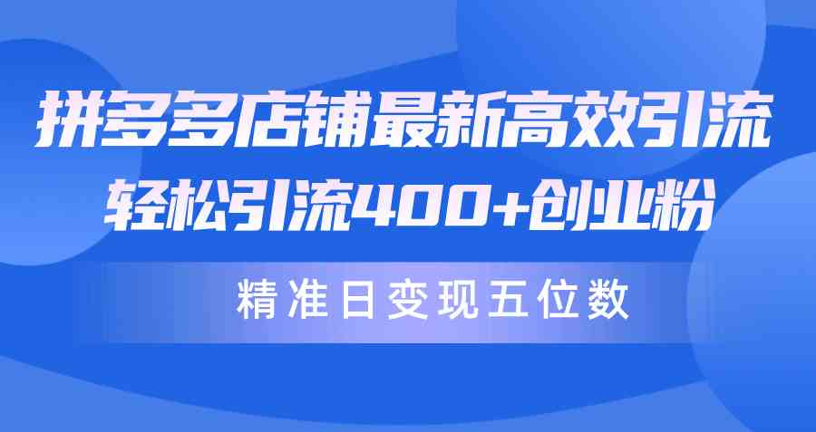 （10041期）拼多多店铺最新高效引流术，轻松引流400+创业粉，精准日变现五位数！-中创项目网
