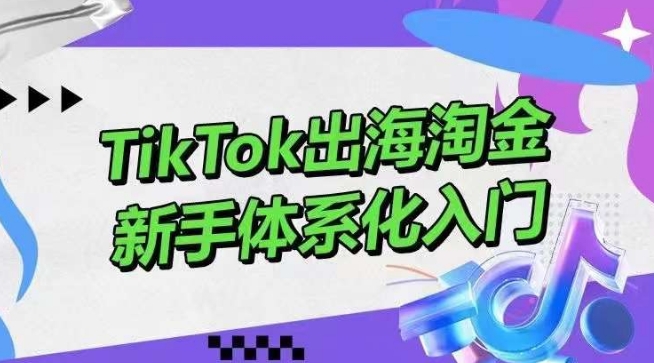 TikTok出海淘金，新手体系化入门，零基础快速入门，掌握短视频、直播带货等引流到变现的知识-中创项目网