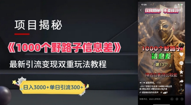 一千个野路子信息差最新玩法教程-变现+引流的玩法具体拆解-中创项目网