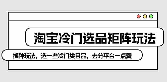 （10159期）淘宝冷门选品矩阵玩法：换种玩法，选一些冷门类目品，去分平台一点羹-中创项目网