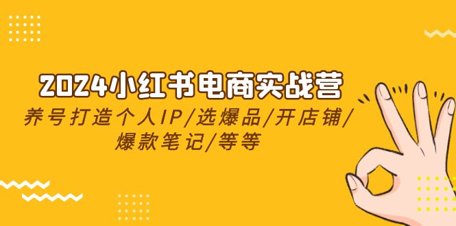 2024小红书电商实战营，养号打造IP/选爆品/开店铺/爆款笔记/等等（24节）-中创项目网