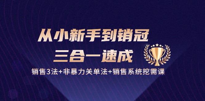 从小新手到销冠三合一速成：销售3法+非暴力关单法+销售系统挖需课 (27节)-中创项目网