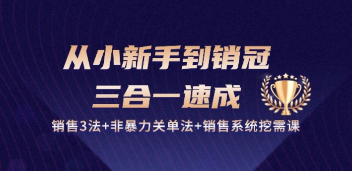 从小新手到销冠 三合一速成：销售3法+非暴力关单法+销售系统挖需课 (27节)-中创项目网