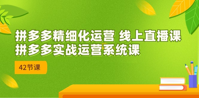 拼多多精细化运营 线上直播课：拼多多实战运营系统课（更新47节）-中创项目网