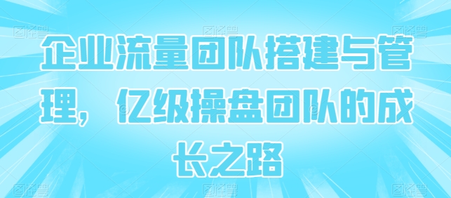 企业流量团队搭建与管理，亿级操盘团队的成长之路-中创项目网