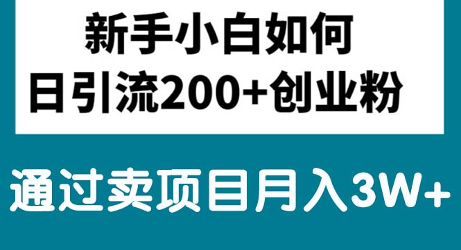 （10843期）新手小白日引流200+创业粉,通过卖项目月入3W+-中创项目网
