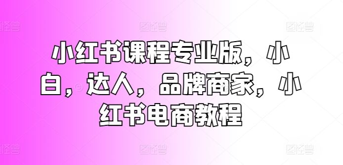 小红书课程专业版，小白，达人，品牌商家，小红书电商教程-中创项目网