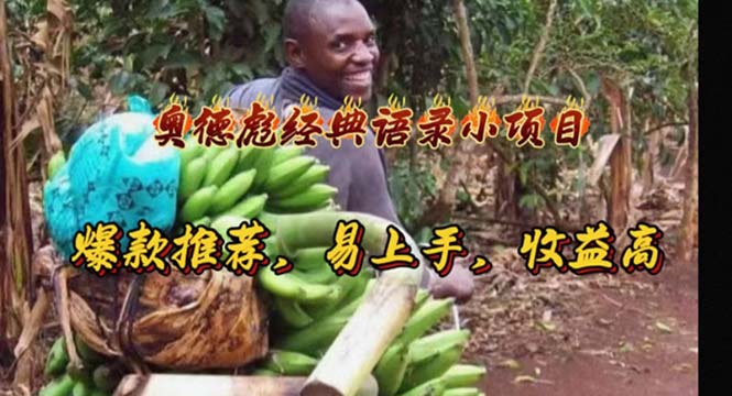 （11030期）奥德彪经典语录小项目，爆款推荐，易上手，收益高-中创项目网
