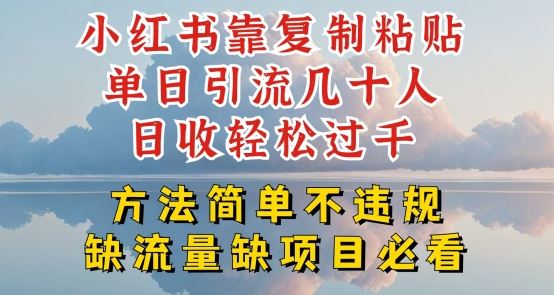 小红书靠复制粘贴单日引流几十人目收轻松过千，方法简单不违规【揭秘】-中创项目网