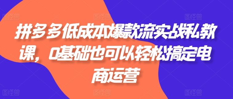 拼多多低成本爆款流实战私教课，0基础也可以轻松搞定电商运营-中创项目网