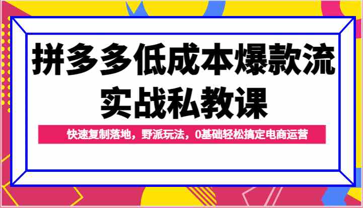 拼多多低成本爆款流实战私教课，快速复制落地，野派玩法，0基础轻松搞定电商运营-中创项目网