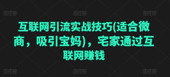 互联网引流实战技巧(适合微商，吸引宝妈)，宅家通过互联网赚钱-中创项目网