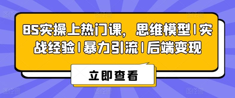 8S实操上热门课，思维模型|实战经验|暴力引流|后端变现-中创项目网