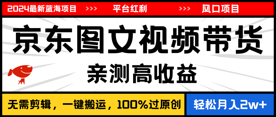 （11147期）2024最新蓝海项目，逛逛京东图文视频带货，无需剪辑，月入20000+-中创项目网