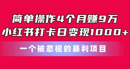 简单操作4个月赚9w，小红书打卡日变现1k，一个被忽视的暴力项目【揭秘】-中创项目网