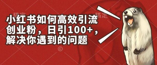 小红书如何高效引流创业粉，日引100+，解决你遇到的问题【揭秘】-中创项目网