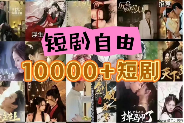 打造完全属于自己的个人短剧库，实现网盘拉新与私域变现的完美融合！-中创项目网