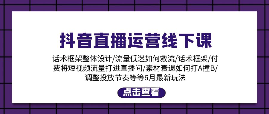 （11211期）抖音直播运营线下课：话术框架/付费流量直播间/素材A撞B/等6月新玩法-中创项目网