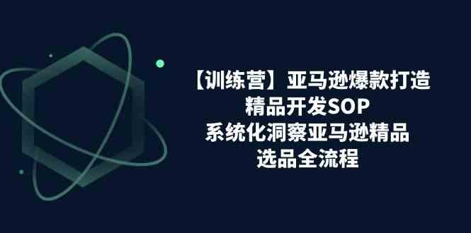亚马逊爆款打造之精品开发SOP【训练营】，系统化洞察亚马逊精品选品全流程-中创项目网