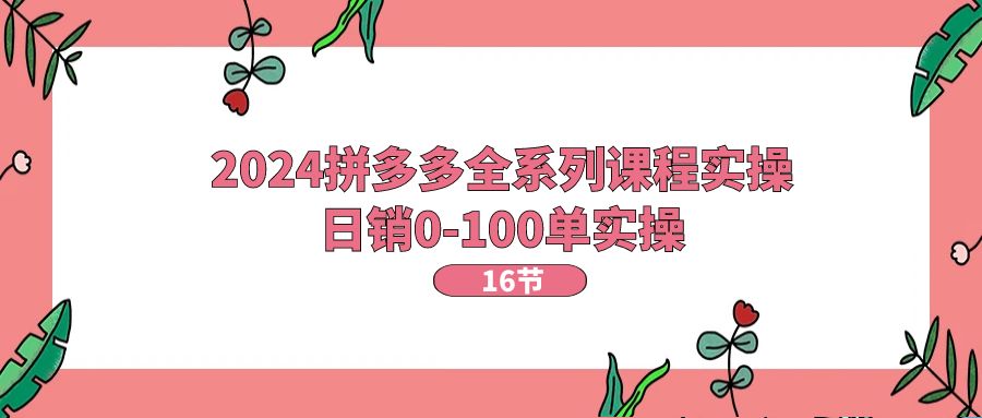 （11222期）2024拼多多全系列课程实操，日销0-100单实操【16节课】-中创项目网