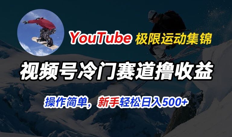 视频号冷门赛道撸收益，YouTube搬运极限运动集锦，暴力起号，操作简单流量高，轻松日入5张【揭秘】-中创项目网