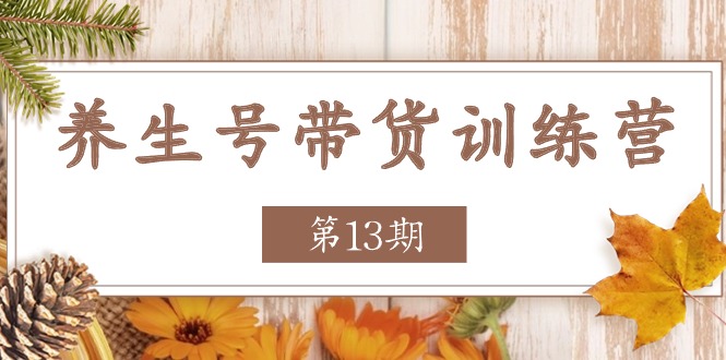 （11275期）养生号-带货训练营【第13期】收益更稳定的玩法，让你带货收益爆炸-中创项目网