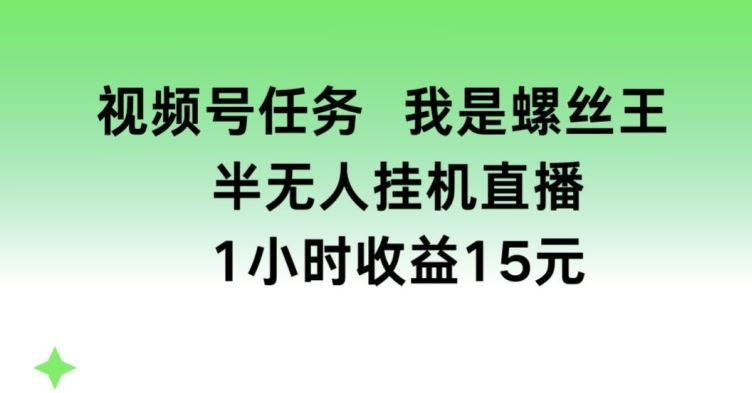 视频号任务，我是螺丝王， 半无人挂机1小时收益15元【揭秘】-中创项目网