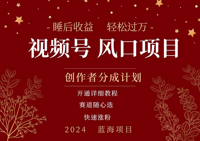 （11331期）拥有睡眠收益的微信视频号大风口项目，轻松月入过万+，多赛道选择，可…-中创项目网