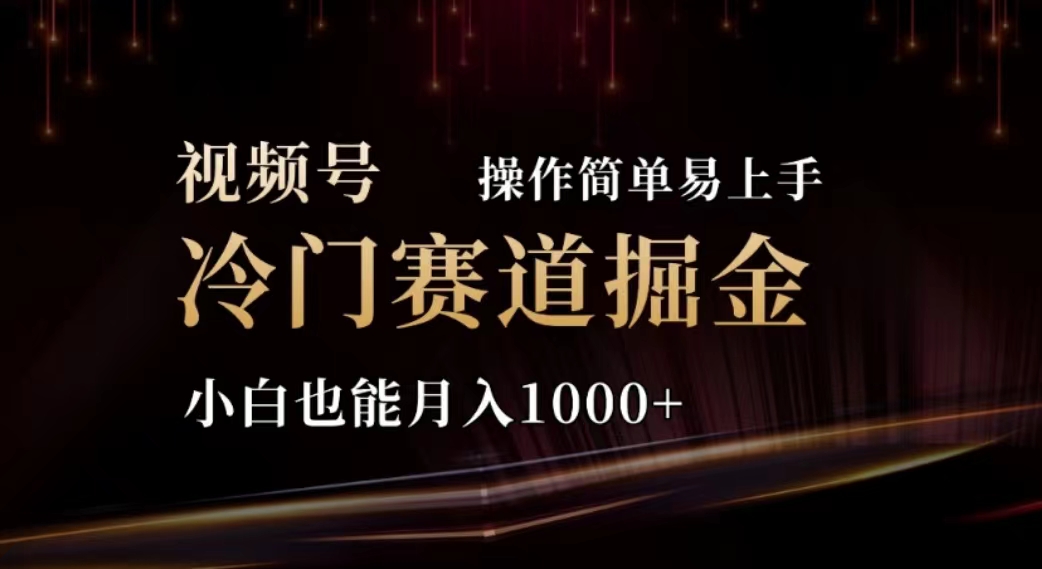 （11378期）2024视频号冷门赛道掘金，操作简单轻松上手，小白也能月入1000+-中创项目网