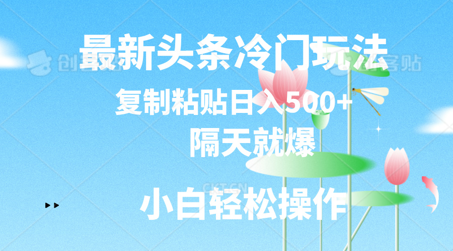 （11414期）最新头条冷门玩法，隔天就爆，复制粘贴日入500+-中创项目网