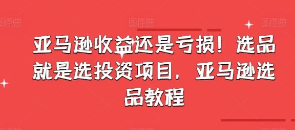 亚马逊收益还是亏损！选品就是选投资项目，亚马逊选品教程-中创项目网