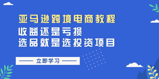 （11432期）亚马逊跨境电商教程：收益还是亏损！选品就是选投资项目-中创项目网