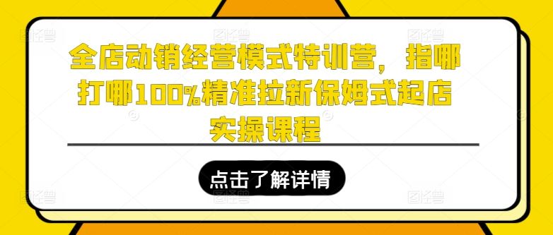 全店动销经营模式特训营，指哪打哪100%精准拉新保姆式起店实操课程-中创项目网