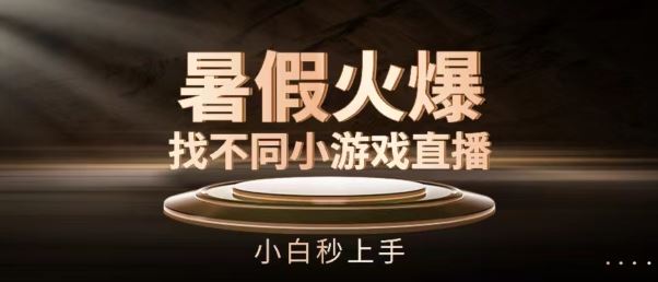 暑假火爆找不同小游戏直播间，小白秒上手【揭秘】-中创项目网