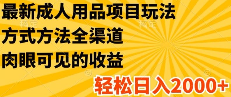 最新成人用品项目玩法，方式方法全渠道，轻松日入2K+【揭秘】-中创项目网