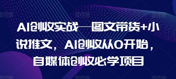 AI创收实战—图文带货+小说推文，AI创收从0开始，自媒体创收必学项目-中创项目网