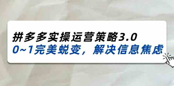 2024-2025拼多多实操运营策略3.0，0~1完美蜕变，解决信息焦虑（38节）-中创项目网
