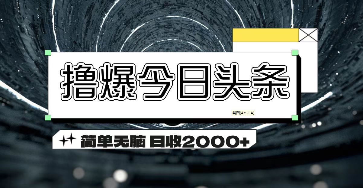 （11665期）撸爆今日头条 简单无脑操作 日收2000+-中创项目网