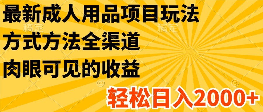 最新成人用品项目玩法，方式方法全渠道，肉眼可见的收益，轻松日入2000+-中创项目网