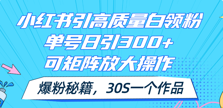 （11692期）小红书引高质量白领粉，单号日引300+，可放大操作，爆粉秘籍！30s一个作品-中创项目网