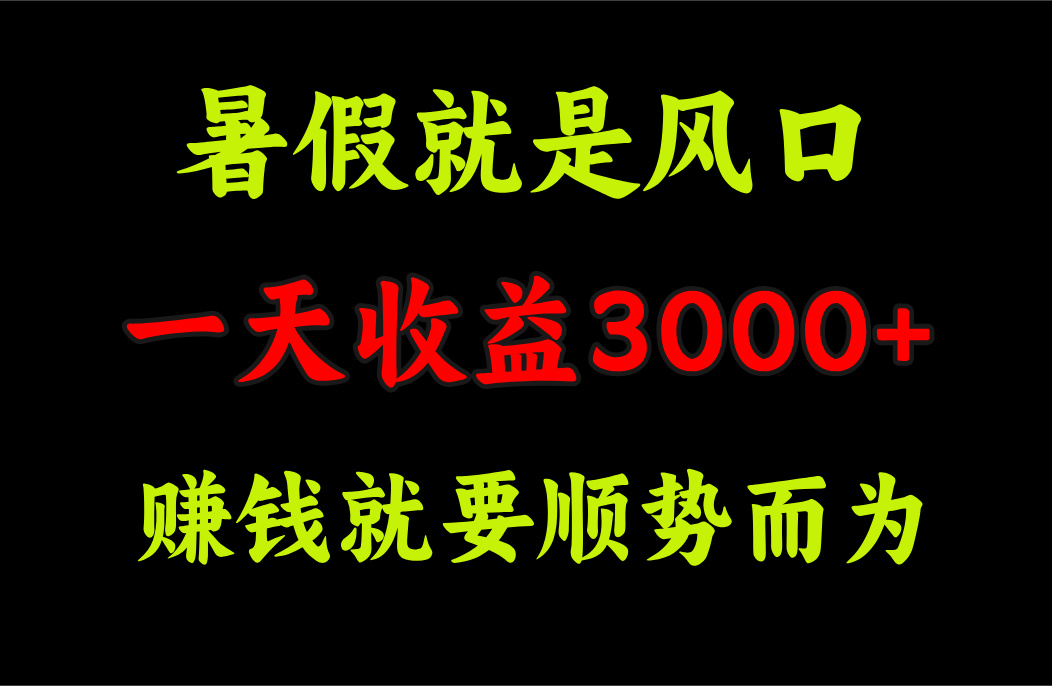 （11670期）一天收益3000+ 赚钱就是顺势而为，暑假就是风口-中创项目网