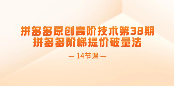 （11704期）拼多多原创高阶技术第38期，拼多多阶梯提价破量法（14节课）-中创项目网