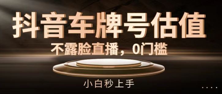 抖音车牌号估值，不露脸直播，0门槛，小白秒上手【揭秘】-中创项目网