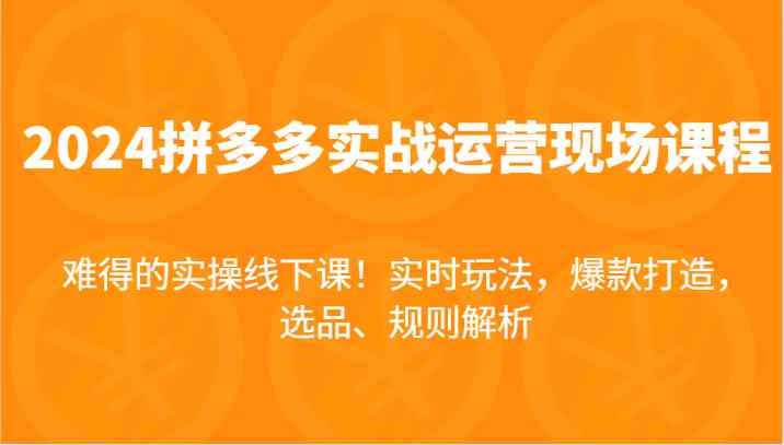 2024拼多多实战运营现场课，实时玩法，爆款打造，选品、规则解析，难得的实操线下课！-中创项目网